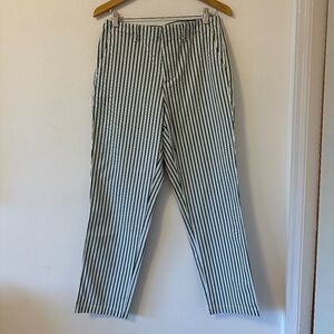 Lands End Green and White Stripe Cotton Stretch Chino Pants | Size 10 Tall